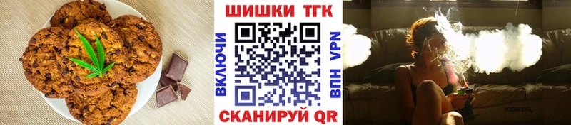 MEGA как войти  купить наркотики сайты  Томилино  Canna-Cookies конопля 
