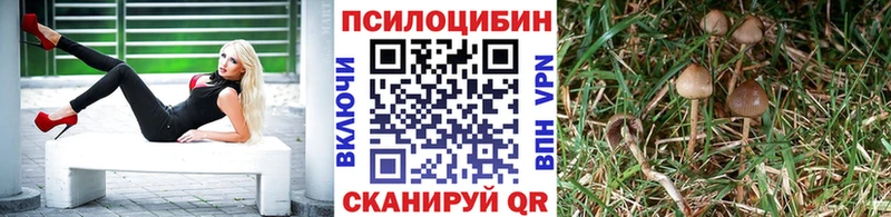 Псилоцибиновые грибы мицелий  Томилино 